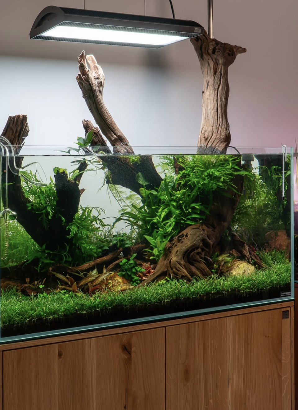Home Office Aquascape - Image 1